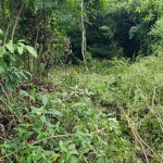 First image of 582 Orchard Gardens in Hopewell, Hanover, Jamaica - property is For Sale