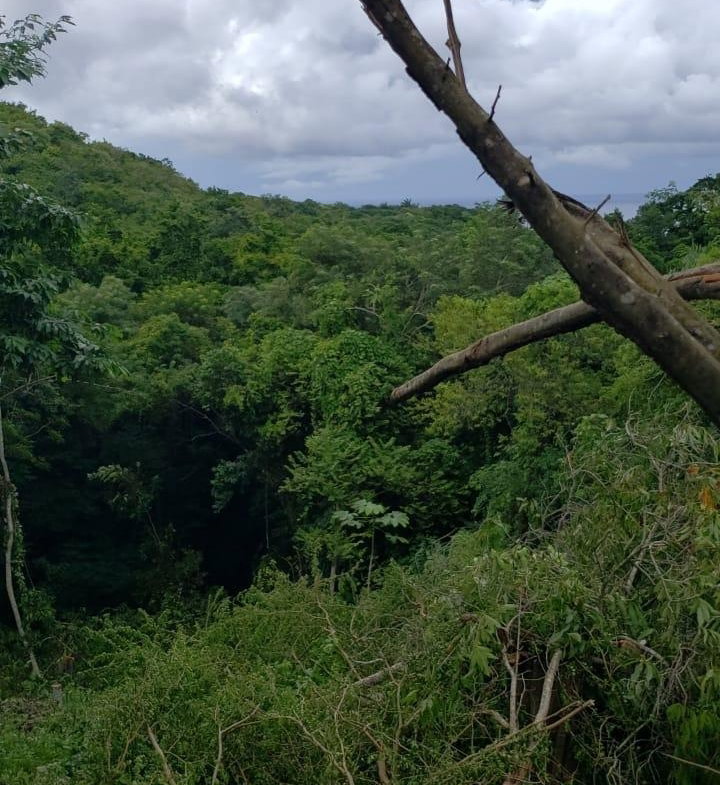 Fourth image of 582 Orchard Gardens in Hopewell, Hanover, Jamaica - property is For Sale
