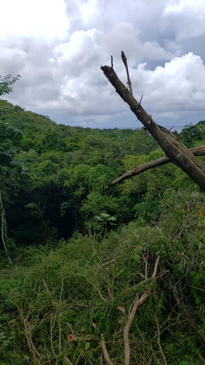 Fourth image of 582 Orchard Gardens in Hopewell, Hanover, Jamaica - property is For Sale