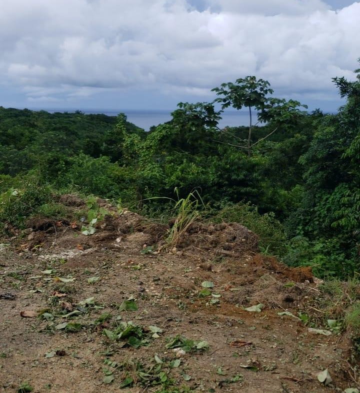 Fifth image of 582 Orchard Gardens in Hopewell, Hanover, Jamaica - property is For Sale