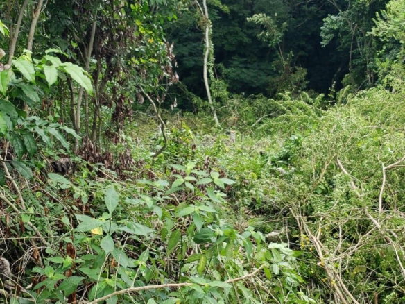 First image of 582 Orchard Gardens in Hopewell, Hanover, Jamaica - property is For Sale