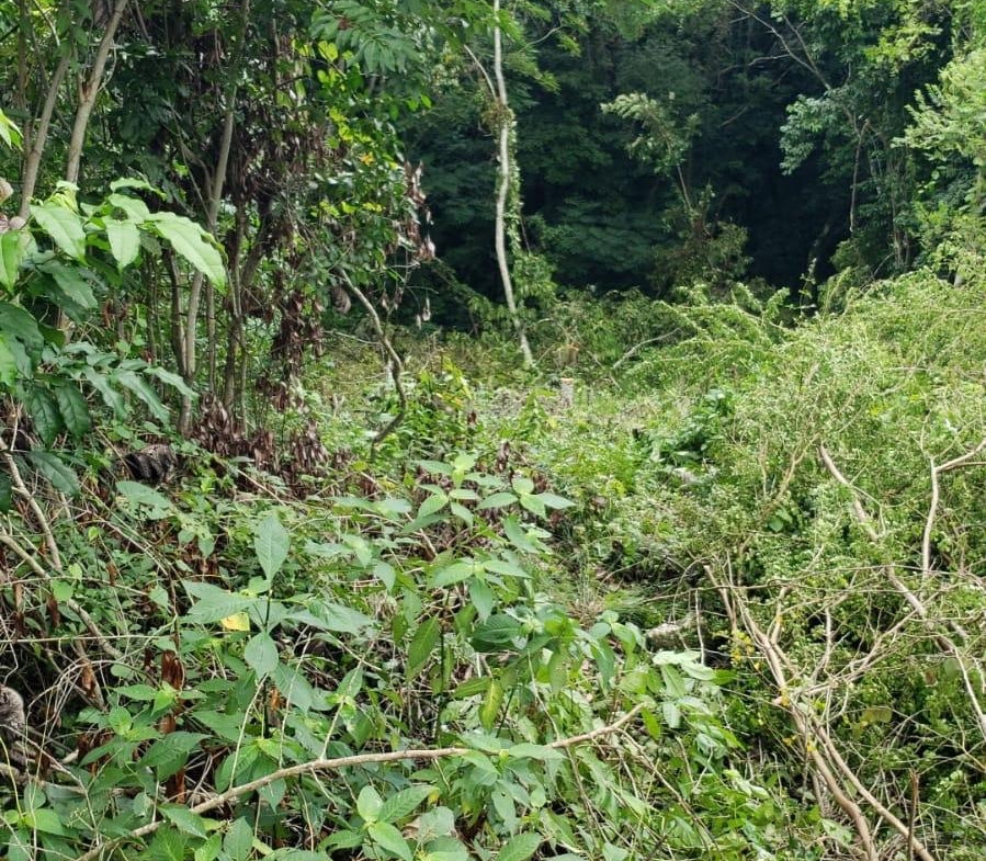 First image of 582 Orchard Gardens in Hopewell, Hanover, Jamaica - property is For Sale