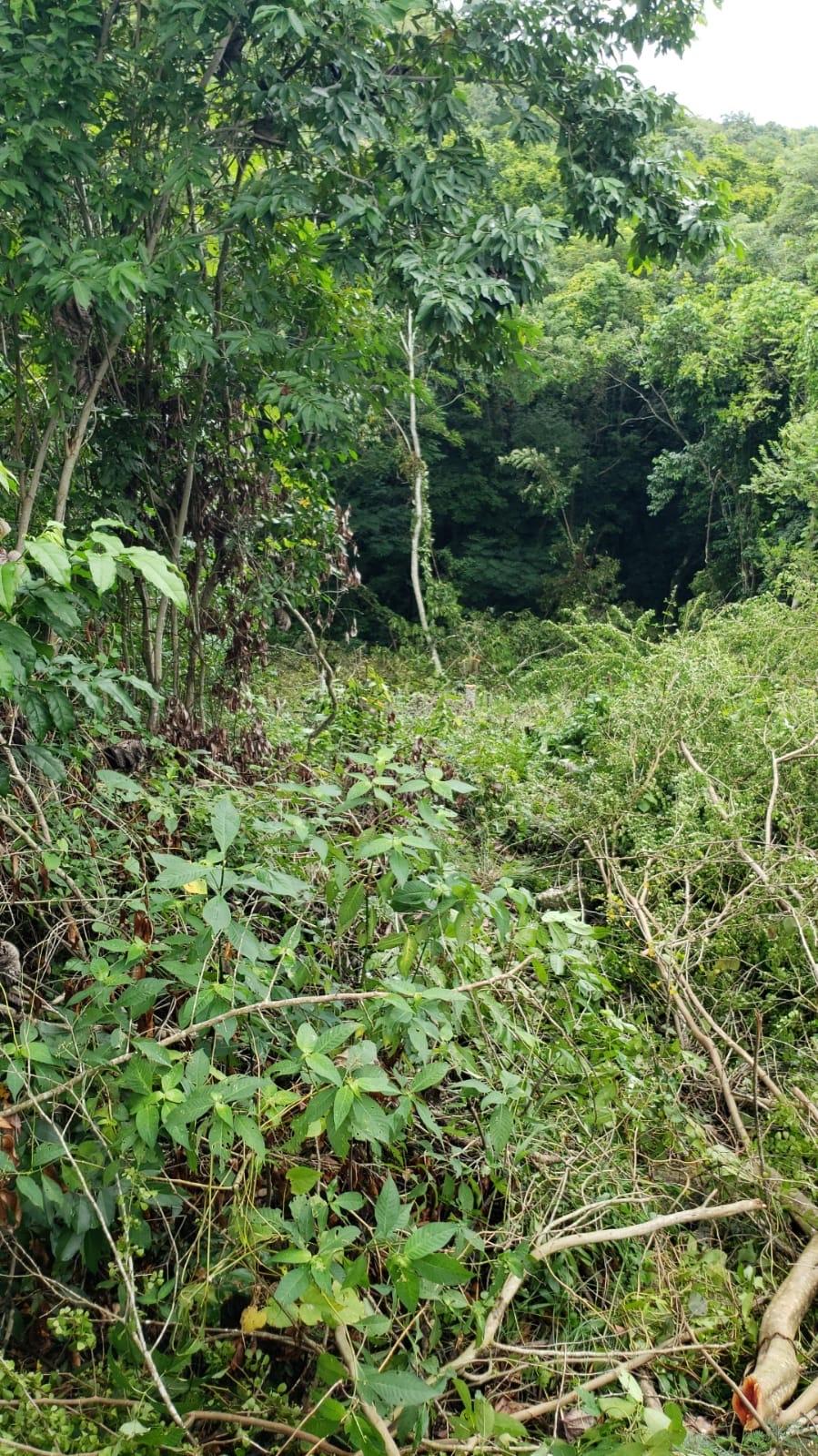 First image of 582 Orchard Gardens in Hopewell, Hanover, Jamaica - property is For Sale