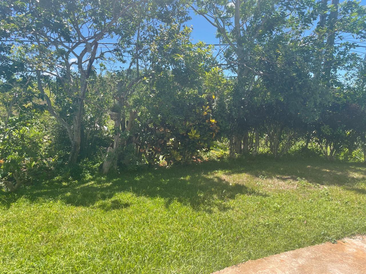 Twenty-Fourth image of 5 Pigeon Grove, Mandevile in Mandeville, Manchester, Jamaica - property is For Sale