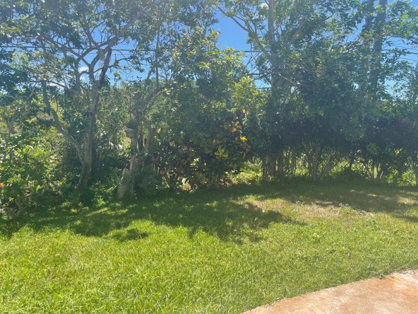 Twenty-Fourth image of 5 Pigeon Grove, Mandevile in Mandeville, Manchester, Jamaica - property is For Sale