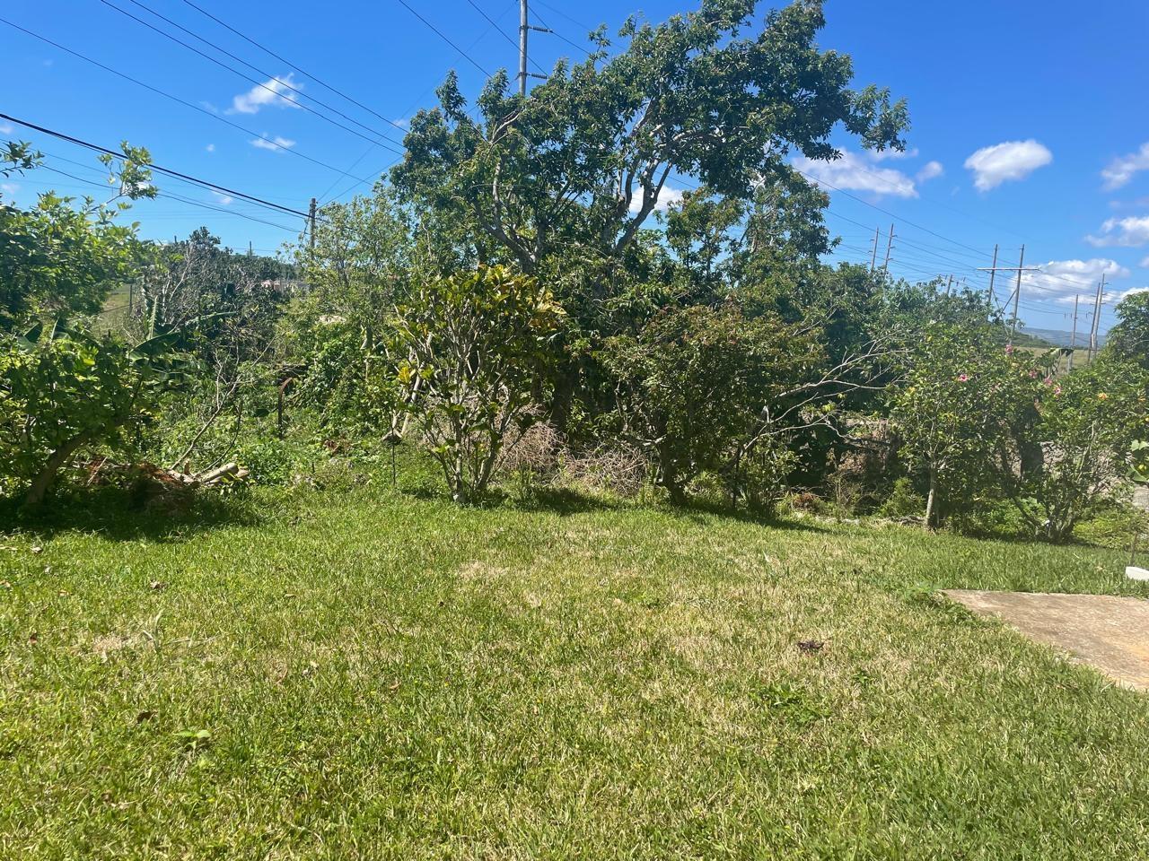 Twenty-Fifth image of 5 Pigeon Grove, Mandevile in Mandeville, Manchester, Jamaica - property is For Sale