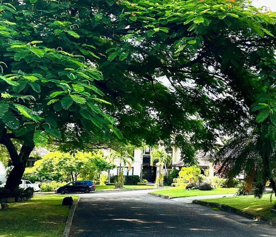 Twenty-First image of 08 Brentwood, Norbrook in Kingston 8, St. Andrew, Jamaica - property is For Sale