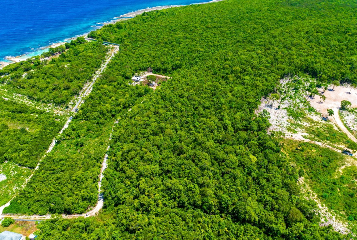 Sixth image of 59 Dairy Road in Discovery Bay, St. Ann, Jamaica - property is For Sale