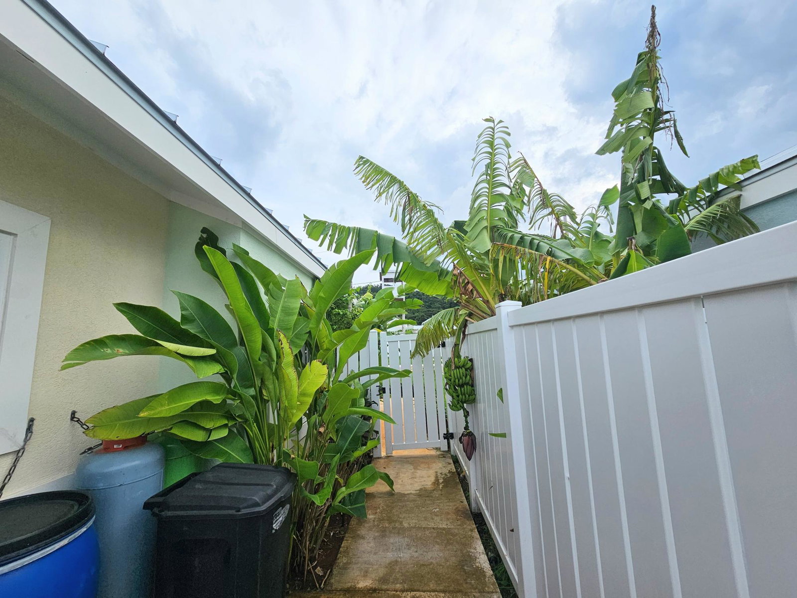Twenty-Second image of 24-399 Oceanpointe in Lucea, Hanover, Jamaica - property is For Sale