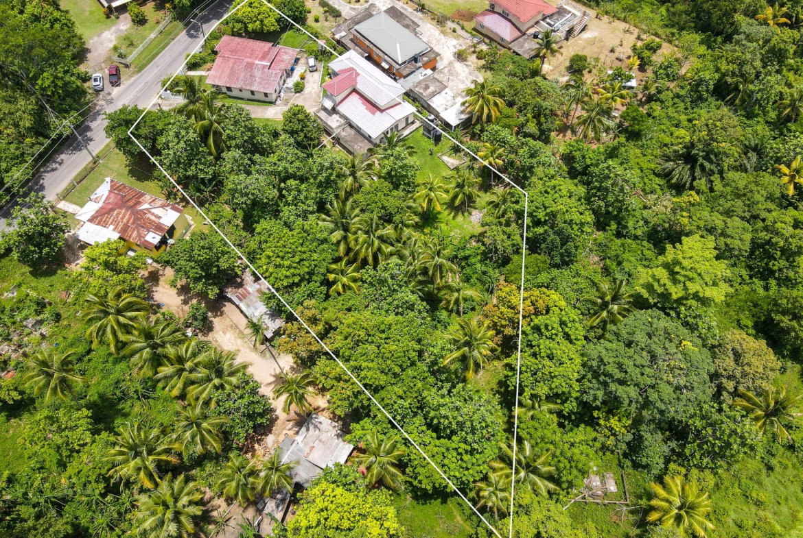 Thirteenth image of Linstead Main Road in Bog Walk, St. Catherine, Jamaica - property is For Sale