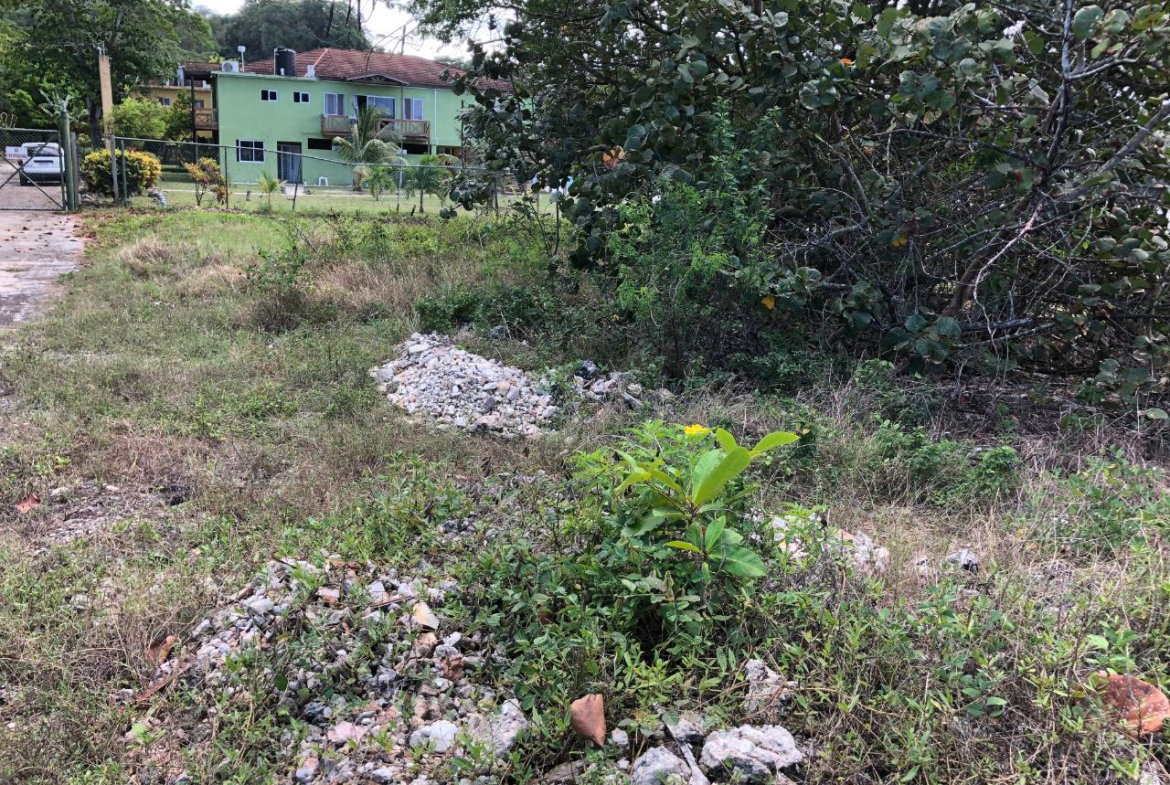 Second image of Lot 2 Pedro Pen Sea Coast in Pedro Pen, Hanover, Jamaica - property is For Sale