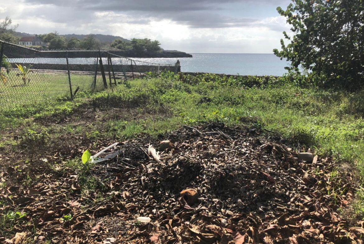 Third image of Lot 2 Pedro Pen Sea Coast in Pedro Pen, Hanover, Jamaica - property is For Sale