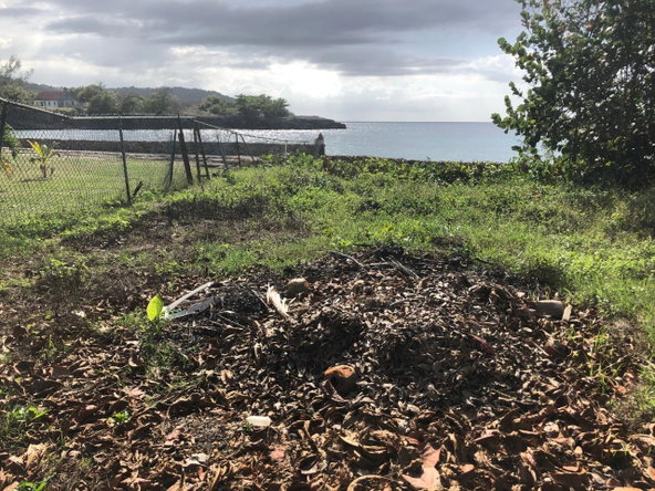 Third image of Lot 2 Pedro Pen Sea Coast in Pedro Pen, Hanover, Jamaica - property is For Sale