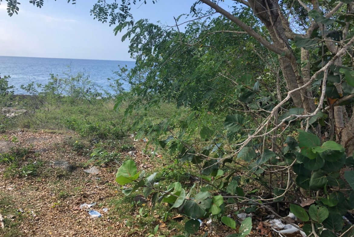 Fourth image of Lot 2 Pedro Pen Sea Coast in Pedro Pen, Hanover, Jamaica - property is For Sale