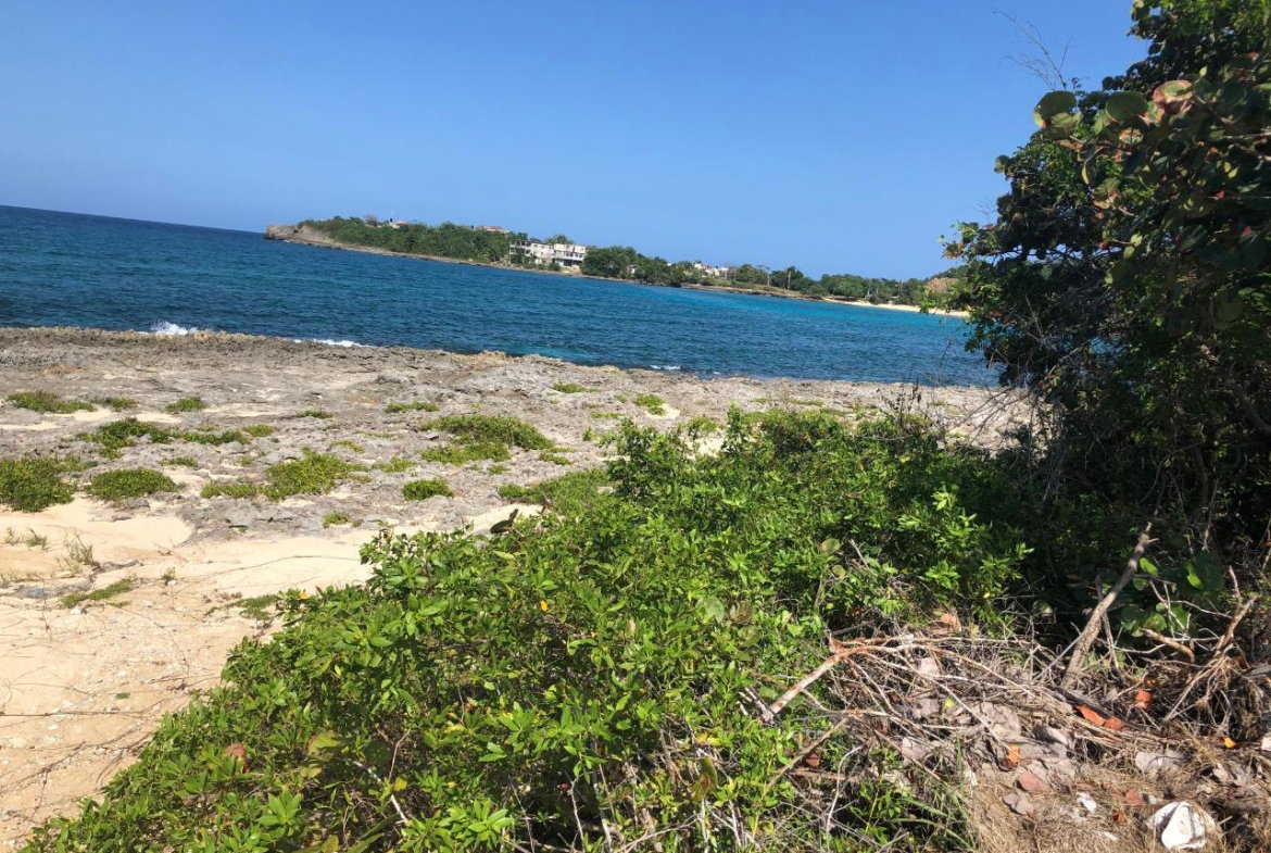 Fifth image of Lot 2 Pedro Pen Sea Coast in Pedro Pen, Hanover, Jamaica - property is For Sale