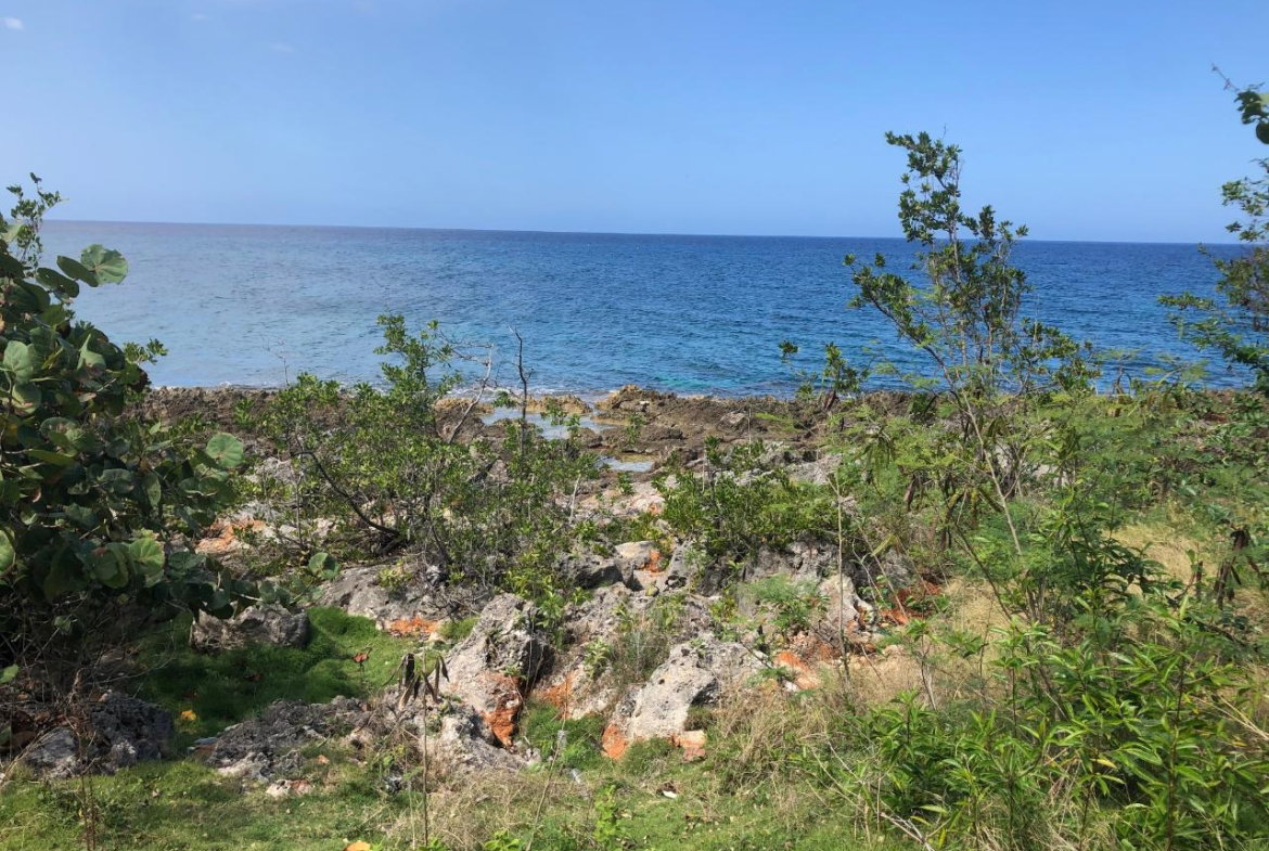 Sixth image of Lot 2 Pedro Pen Sea Coast in Pedro Pen, Hanover, Jamaica - property is For Sale