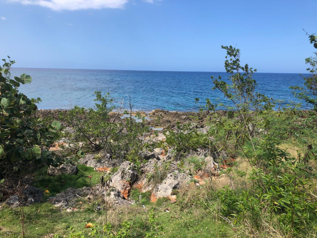 Sixth image of Lot 2 Pedro Pen Sea Coast in Pedro Pen, Hanover, Jamaica - property is For Sale