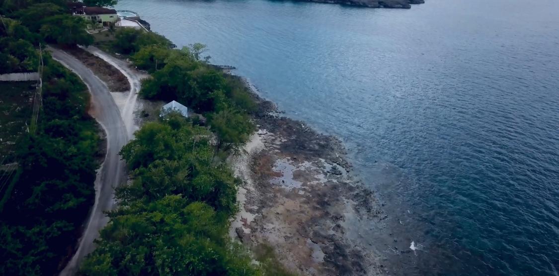 First image of Lot 2 Pedro Pen Sea Coast in Pedro Pen, Hanover, Jamaica - property is For Sale