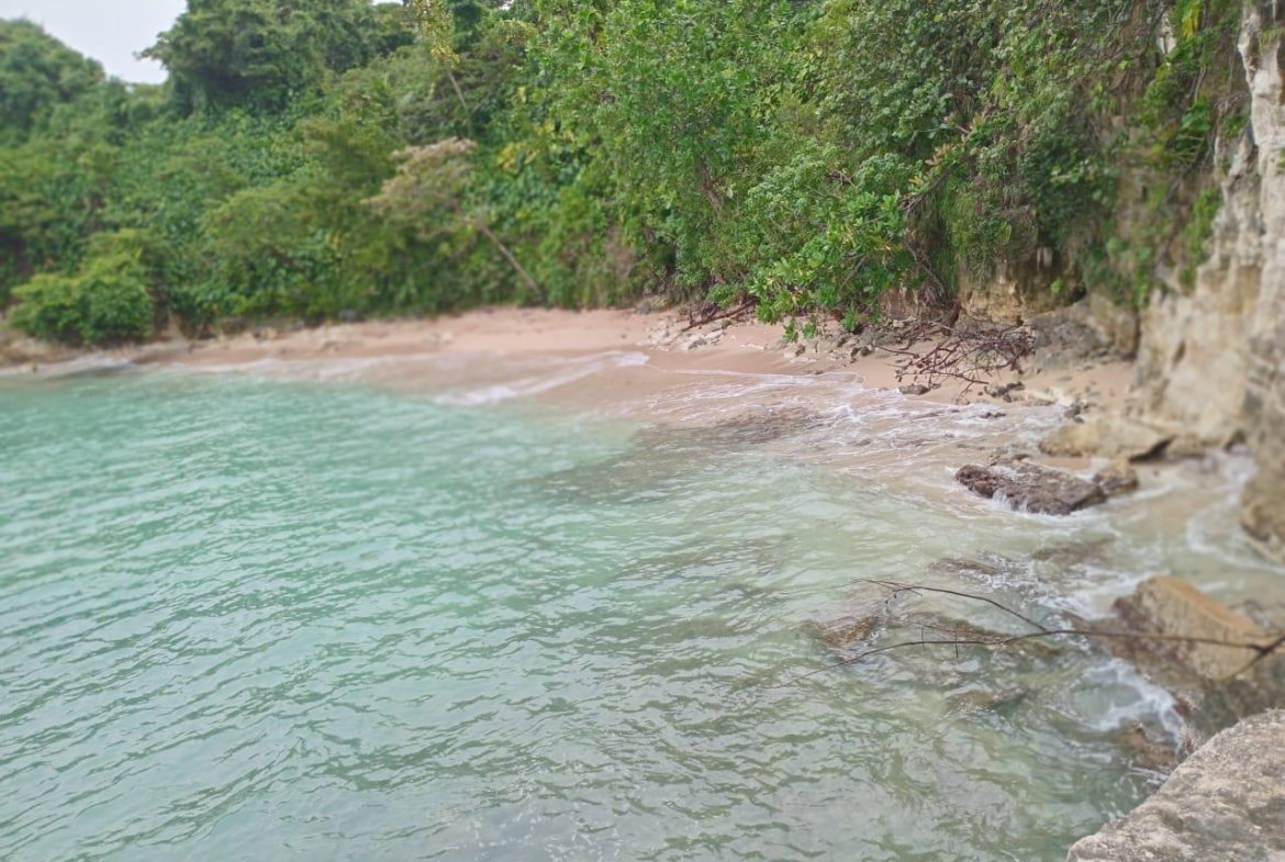 Second image of Snow Hill- Passley Gardens in Passley Garden, Portland, Jamaica - property is For Sale