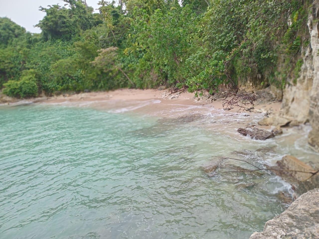 Second image of Snow Hill- Passley Gardens in Passley Garden, Portland, Jamaica - property is For Sale