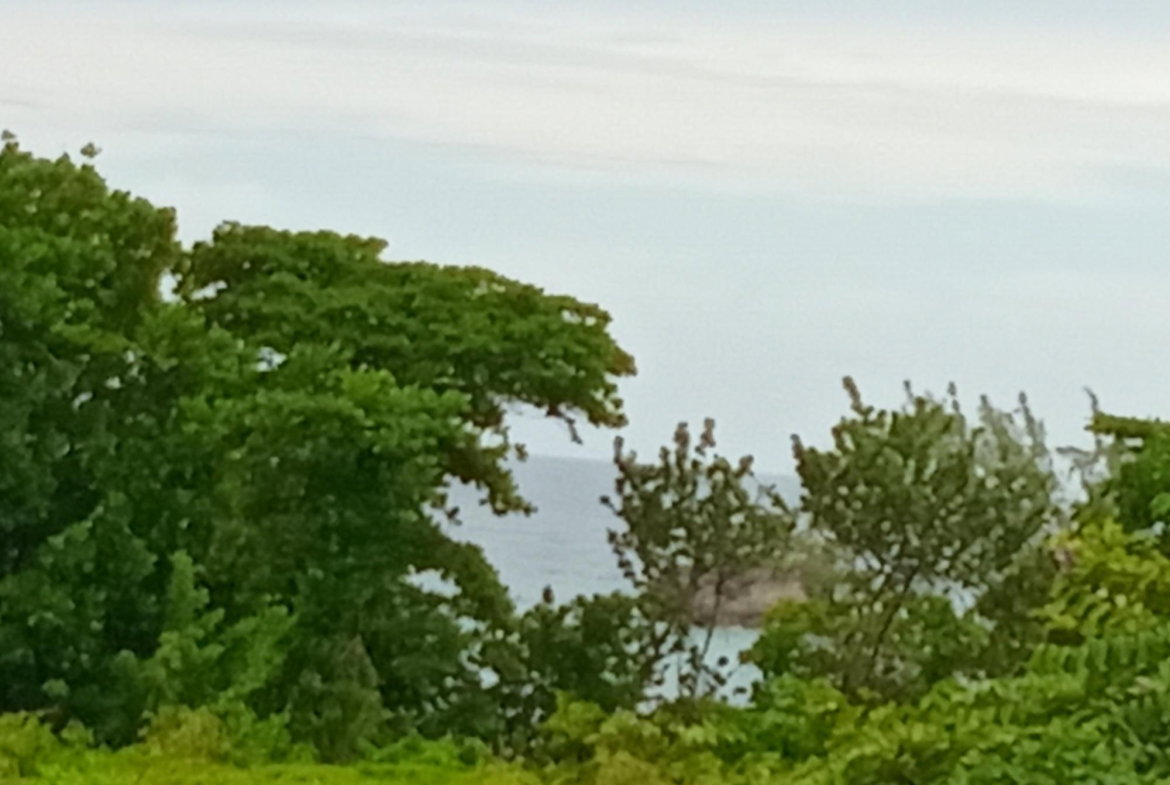 Twelfth image of Snow Hill- Passley Gardens in Passley Garden, Portland, Jamaica - property is For Sale