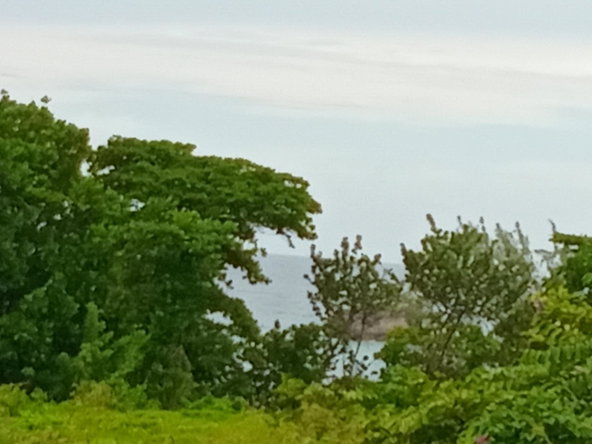 Twelfth image of Snow Hill- Passley Gardens in Passley Garden, Portland, Jamaica - property is For Sale