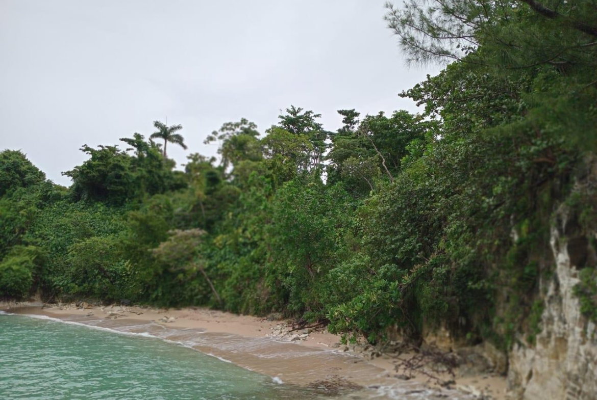 First image of Snow Hill- Passley Gardens in Passley Garden, Portland, Jamaica - property is For Sale