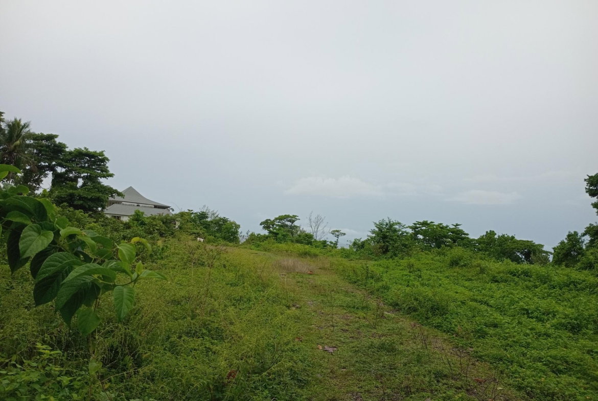 Thirteenth image of Snow Hill- Passley Gardens in Passley Garden, Portland, Jamaica - property is For Sale