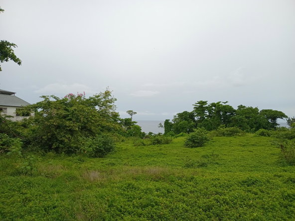 Fourteenth image of Snow Hill- Passley Gardens in Passley Garden, Portland, Jamaica - property is For Sale