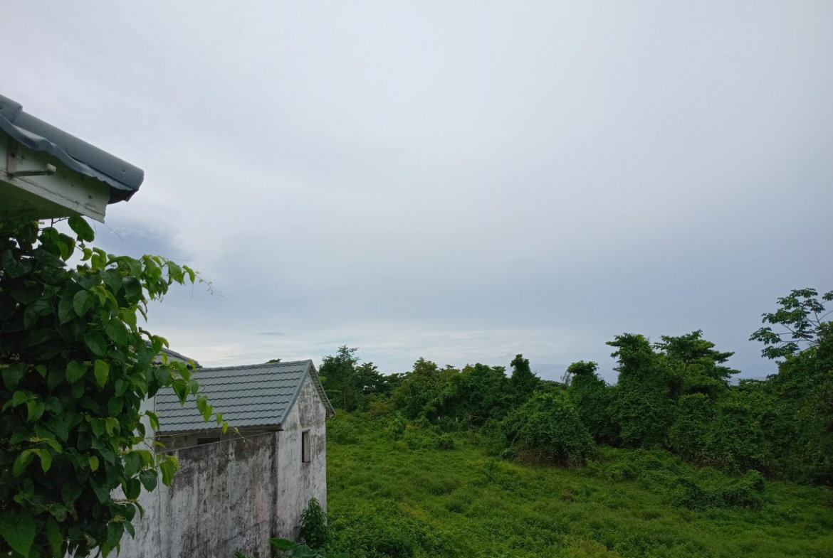 Fifteenth image of Snow Hill- Passley Gardens in Passley Garden, Portland, Jamaica - property is For Sale