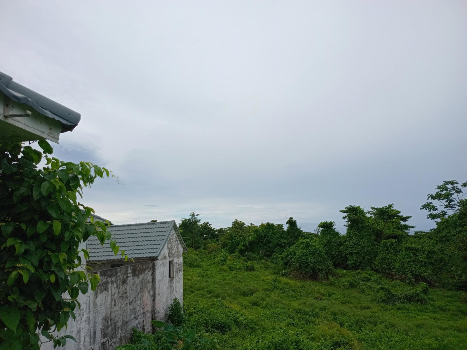 Fifteenth image of Snow Hill- Passley Gardens in Passley Garden, Portland, Jamaica - property is For Sale