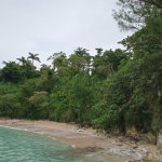 First image of Snow Hill- Passley Gardens in Passley Garden, Portland, Jamaica - property is For Sale