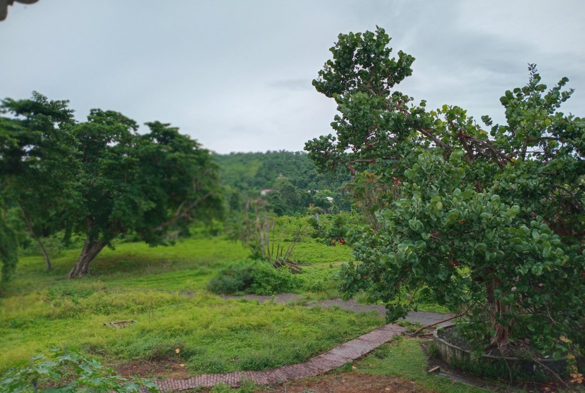Eighteenth image of Snow Hill- Passley Gardens in Passley Garden, Portland, Jamaica - property is For Sale