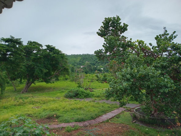Eighteenth image of Snow Hill- Passley Gardens in Passley Garden, Portland, Jamaica - property is For Sale