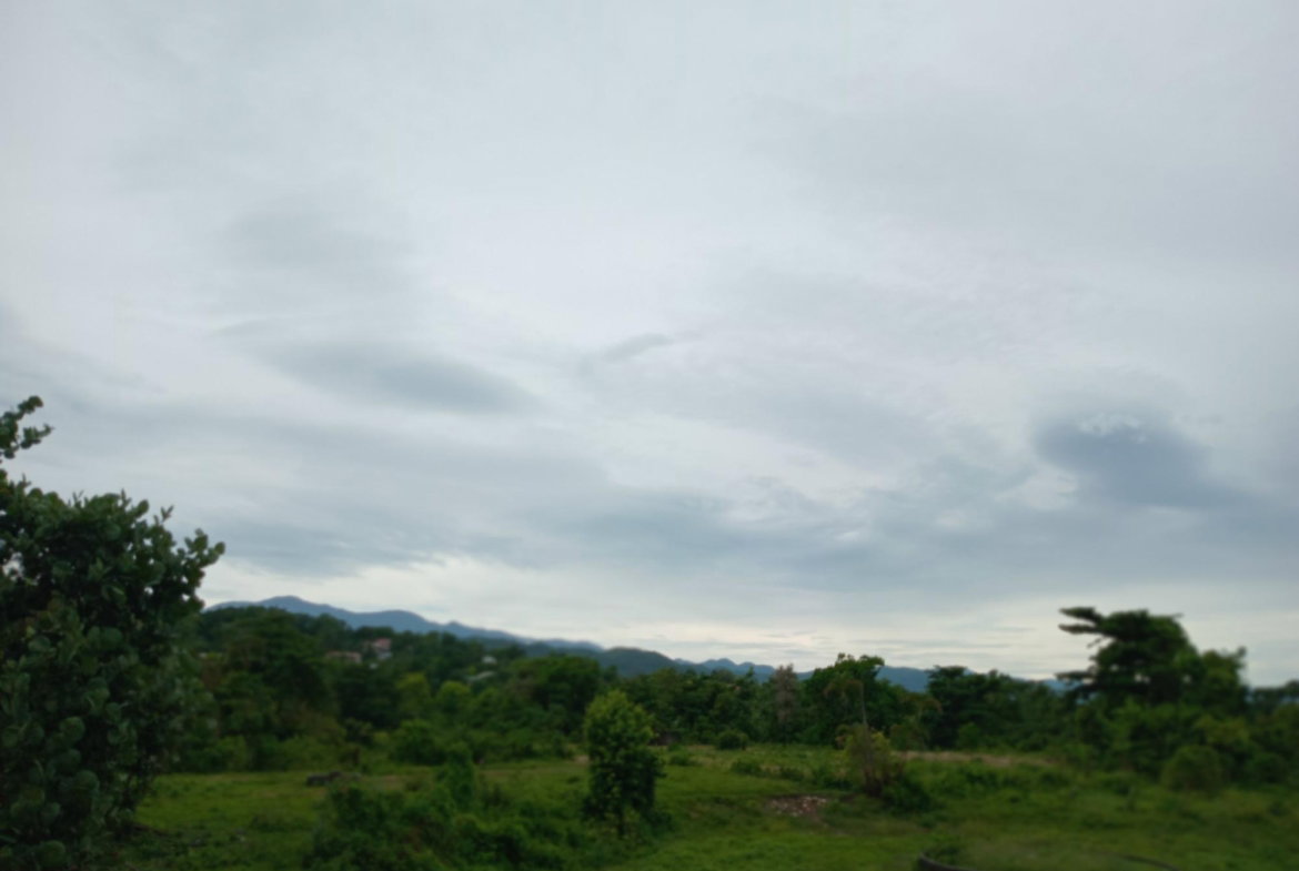 Nineteenth image of Snow Hill- Passley Gardens in Passley Garden, Portland, Jamaica - property is For Sale