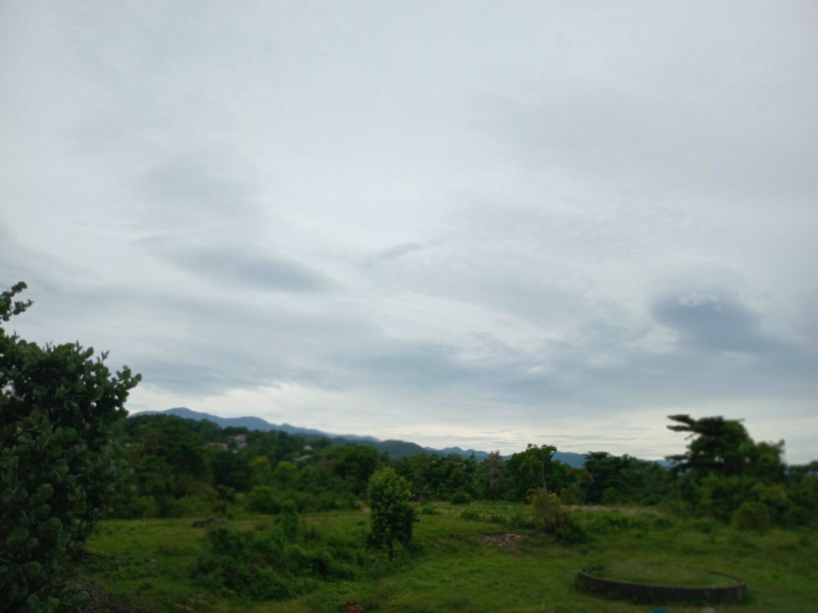 Nineteenth image of Snow Hill- Passley Gardens in Passley Garden, Portland, Jamaica - property is For Sale