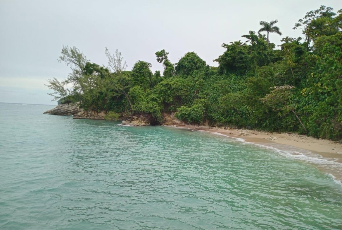 Third image of Snow Hill- Passley Gardens in Passley Garden, Portland, Jamaica - property is For Sale