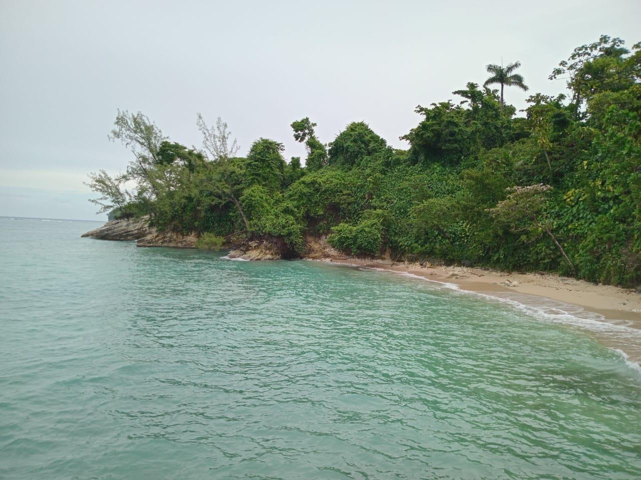 Third image of Snow Hill- Passley Gardens in Passley Garden, Portland, Jamaica - property is For Sale