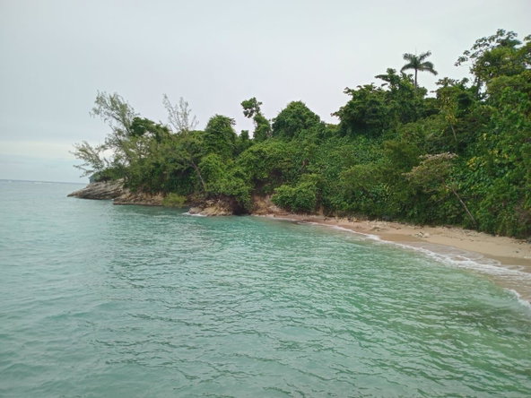 Third image of Snow Hill- Passley Gardens in Passley Garden, Portland, Jamaica - property is For Sale