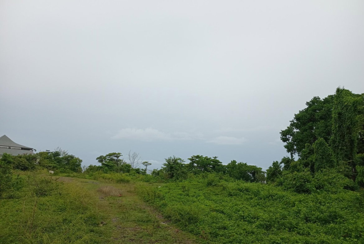 Twenty-Second image of Snow Hill- Passley Gardens in Passley Garden, Portland, Jamaica - property is For Sale