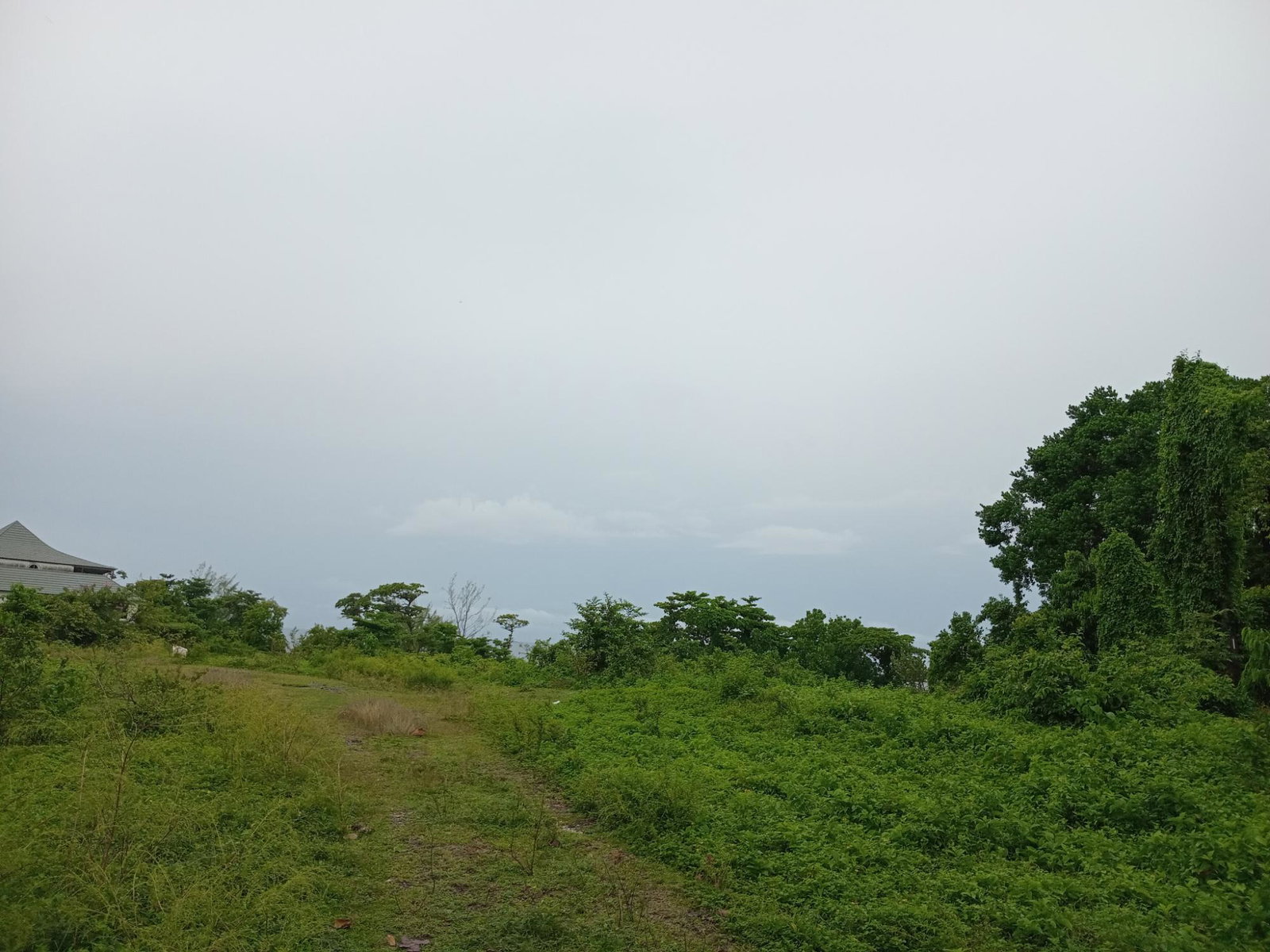 Twenty-Second image of Snow Hill- Passley Gardens in Passley Garden, Portland, Jamaica - property is For Sale