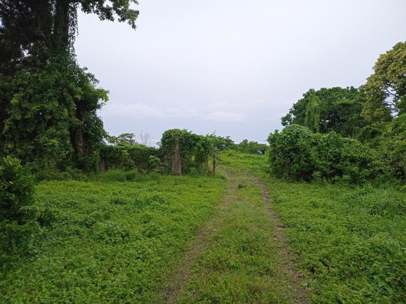 Twenty-Third image of Snow Hill- Passley Gardens in Passley Garden, Portland, Jamaica - property is For Sale