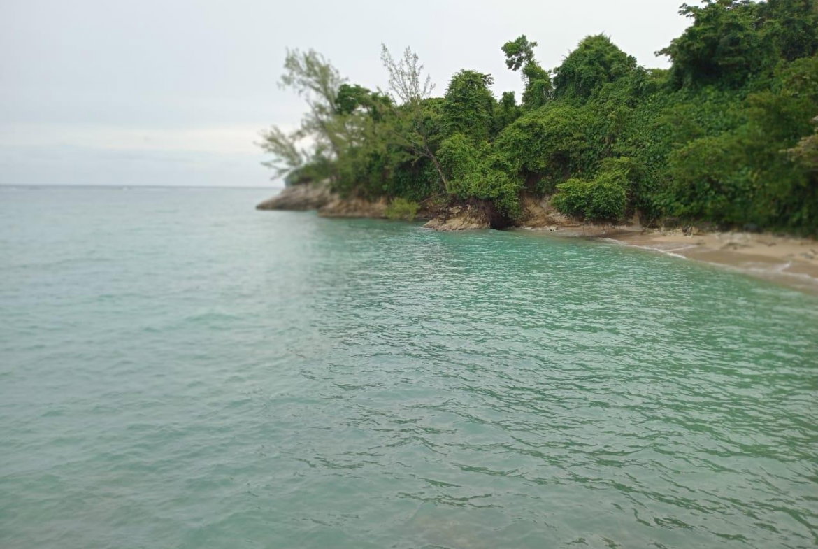 Fourth image of Snow Hill- Passley Gardens in Passley Garden, Portland, Jamaica - property is For Sale