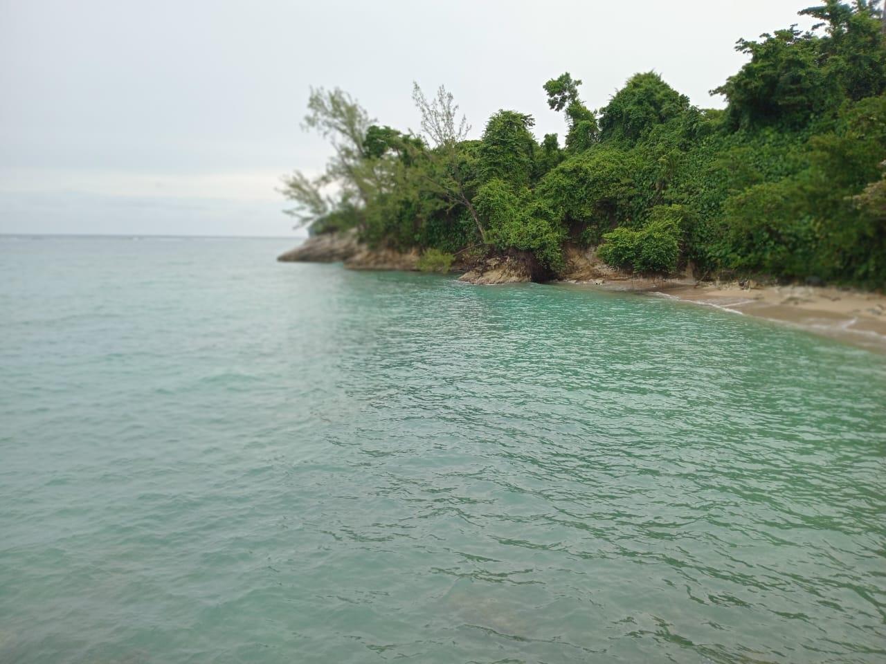 Fourth image of Snow Hill- Passley Gardens in Passley Garden, Portland, Jamaica - property is For Sale