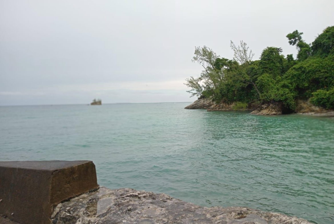 Fifth image of Snow Hill- Passley Gardens in Passley Garden, Portland, Jamaica - property is For Sale