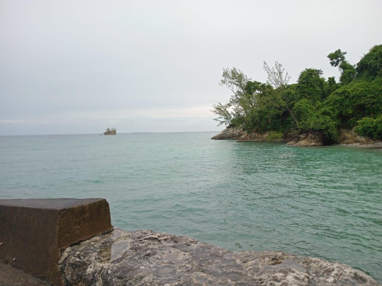 Fifth image of Snow Hill- Passley Gardens in Passley Garden, Portland, Jamaica - property is For Sale