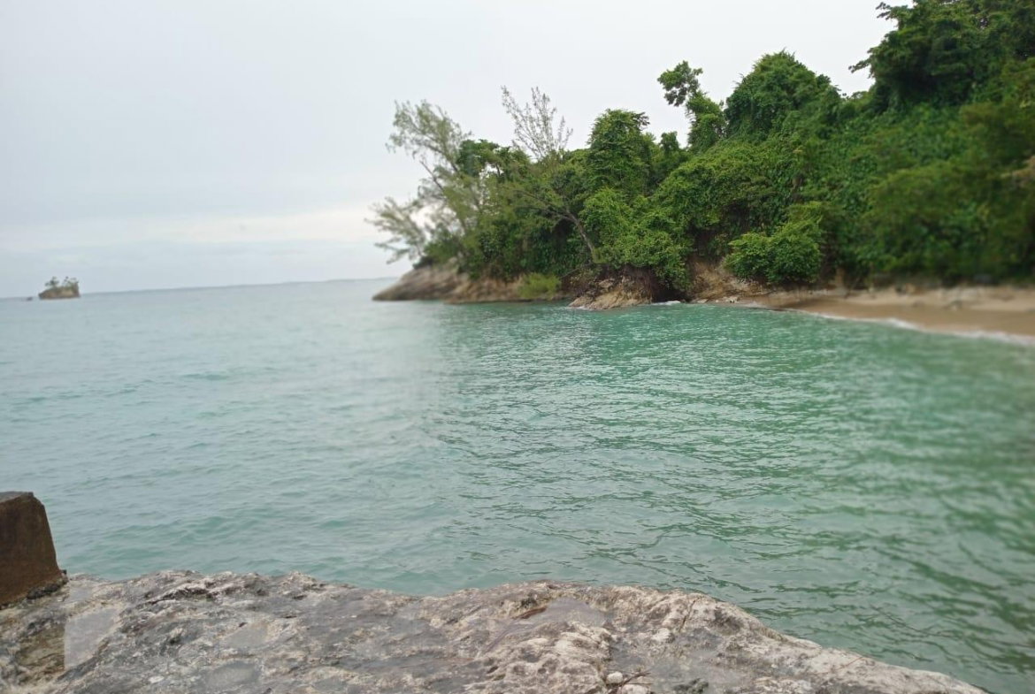 Sixth image of Snow Hill- Passley Gardens in Passley Garden, Portland, Jamaica - property is For Sale