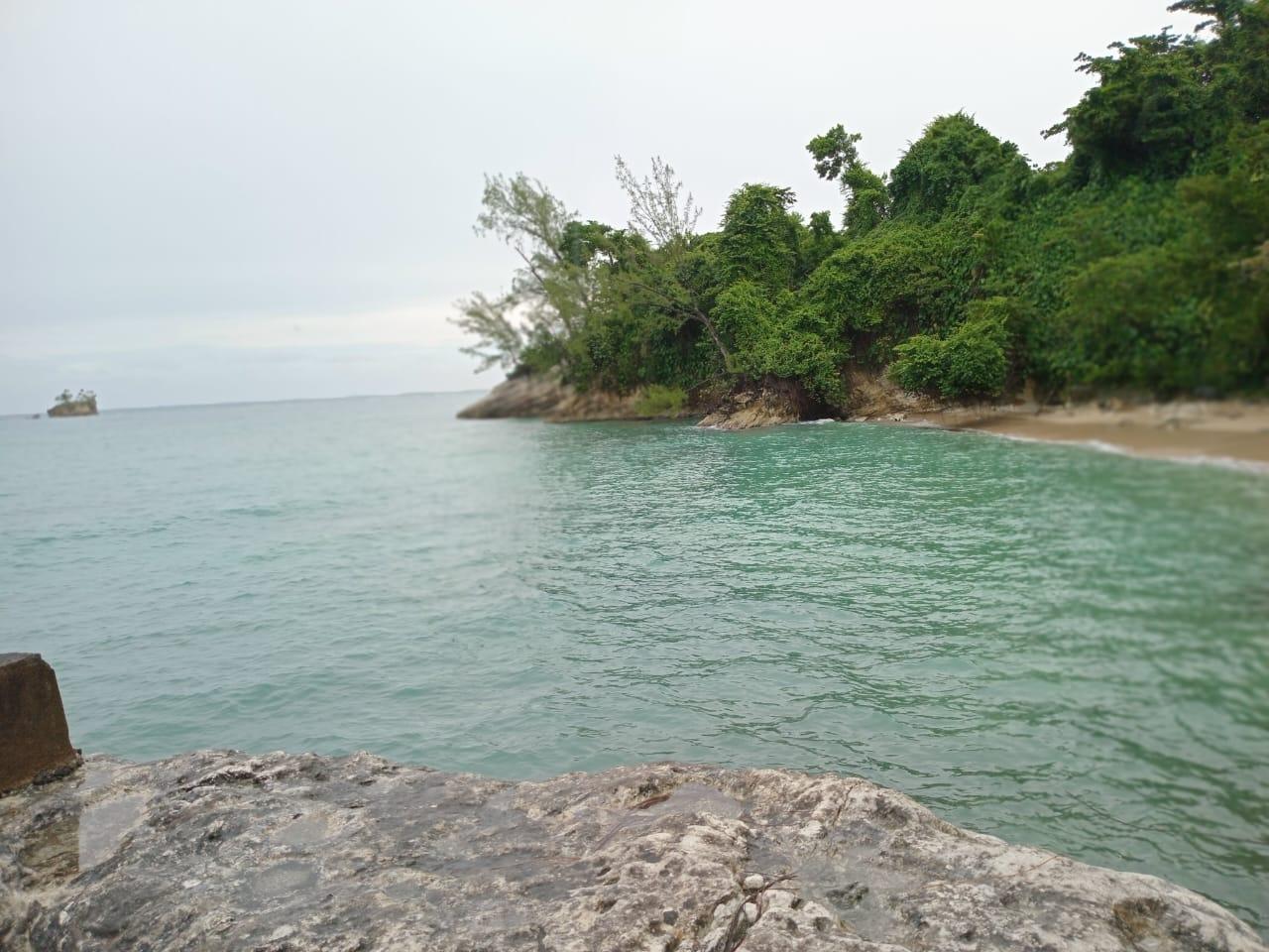 Sixth image of Snow Hill- Passley Gardens in Passley Garden, Portland, Jamaica - property is For Sale