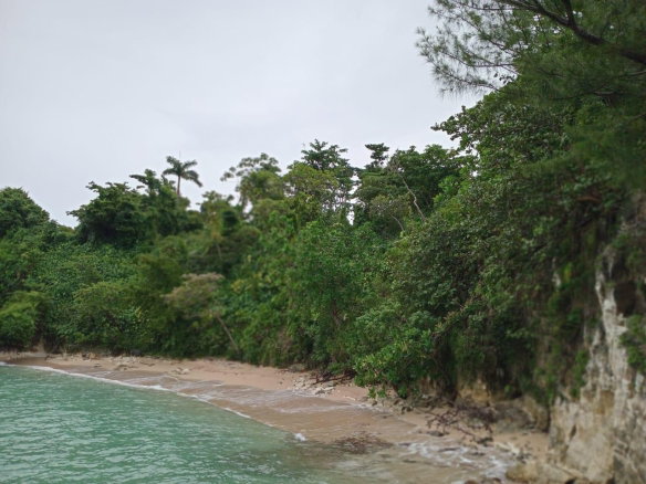 First image of Snow Hill- Passley Gardens in Passley Garden, Portland, Jamaica - property is For Sale