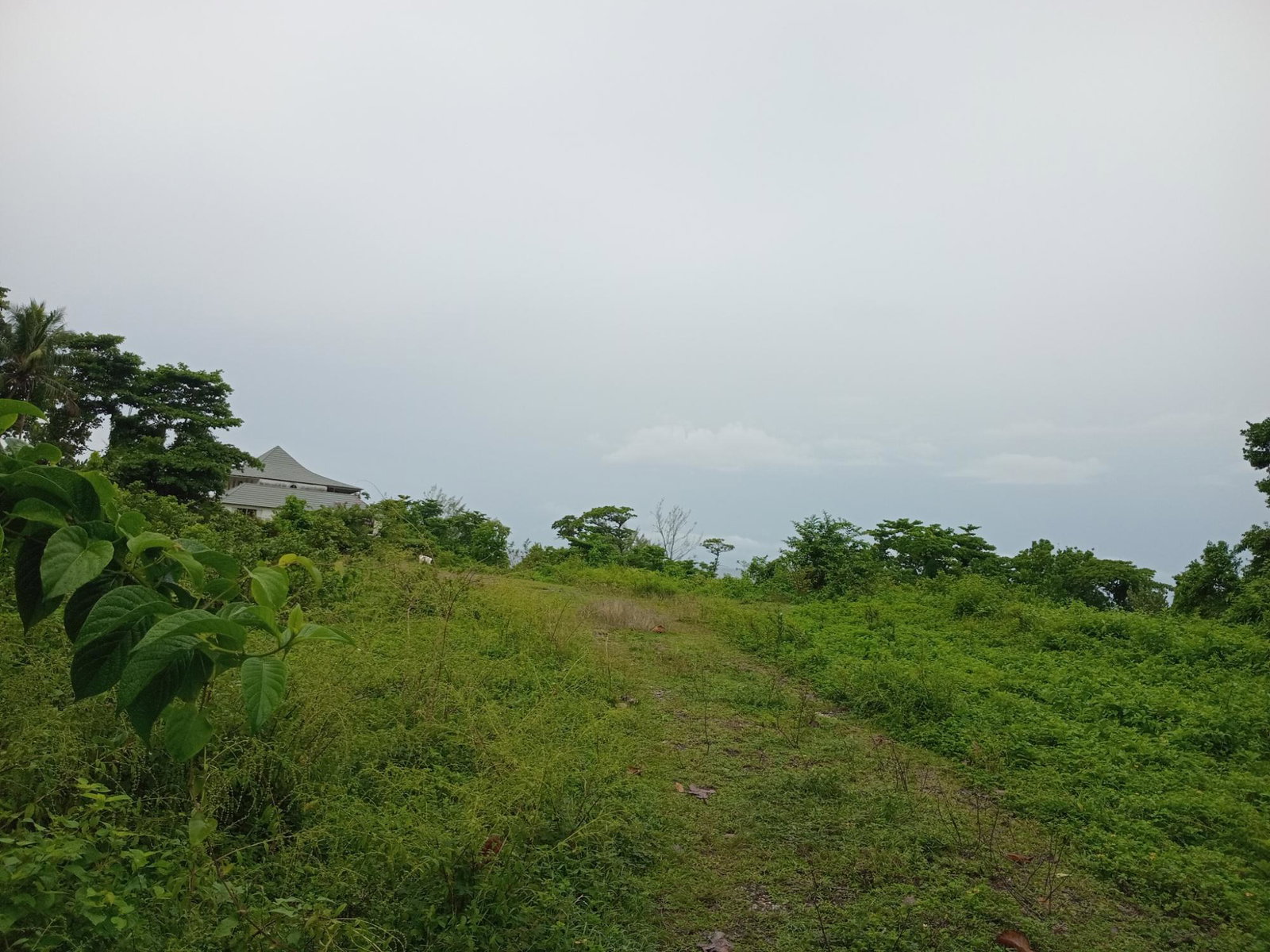 Seventh image of Snow Hill- Passley Gardens in Passley Garden, Portland, Jamaica - property is For Sale
